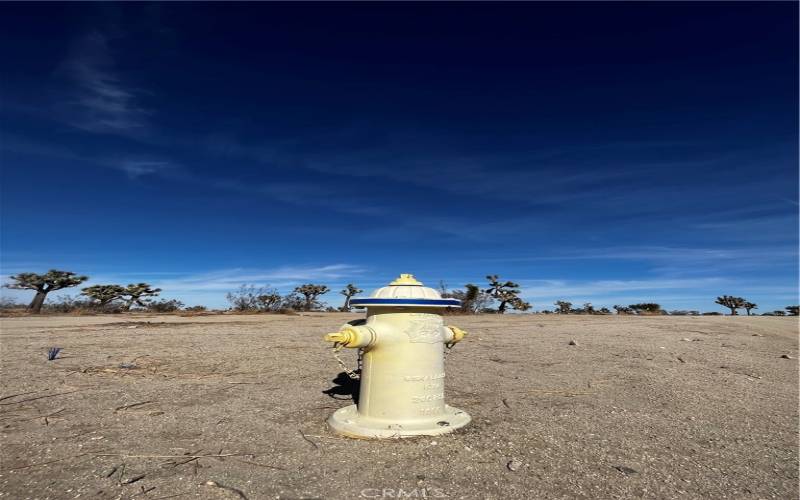 Fire hydrant located near corner of lot