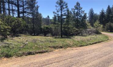 6847 High Valley Road, Lucerne, California 95458, ,Land,Buy,6847 High Valley Road,LC24075784