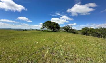 3869 Old Toll Road, Mariposa, California 95306, ,Land,Buy,3869 Old Toll Road,MP24077239