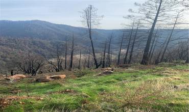 0 Timber Cove, Concow, California 95965, ,Land,Buy,0 Timber Cove,SN22052510