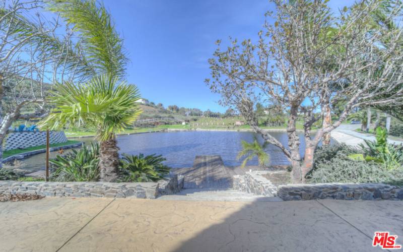 View of pond from Palapa