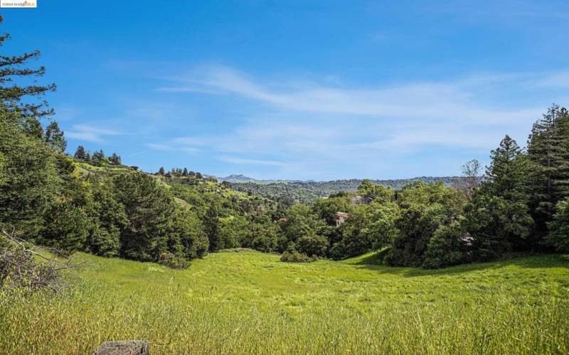 expansive 1.12-acre landscape from the street view