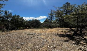 0 Valley View Dr., Idyllwild, California 92561, ,Land,Buy,0 Valley View Dr.,CV24078921