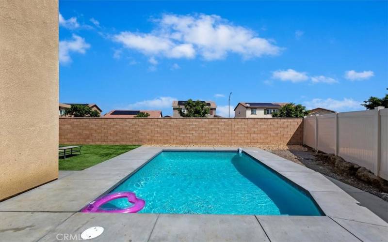Backyard - Brand new pool
