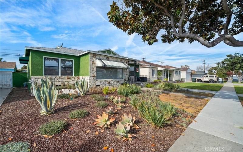 Recently upgraded single-level home. The front and backyard showcase beautiful drought-tolerant landscaping, enhancing the home's curb appeal.