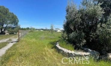 17270 Rancho Tehama, Corning, California 96021, ,Land,Buy,17270 Rancho Tehama,SN24078748