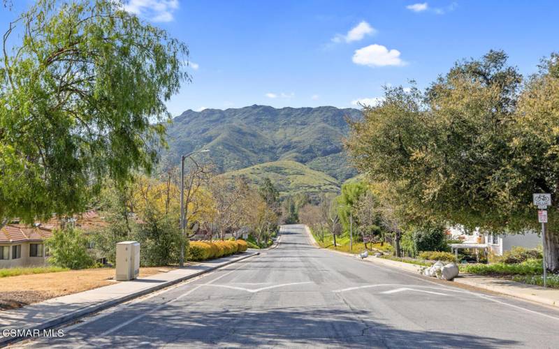 5450 Forest Cove Ln Agoura-large-059-026