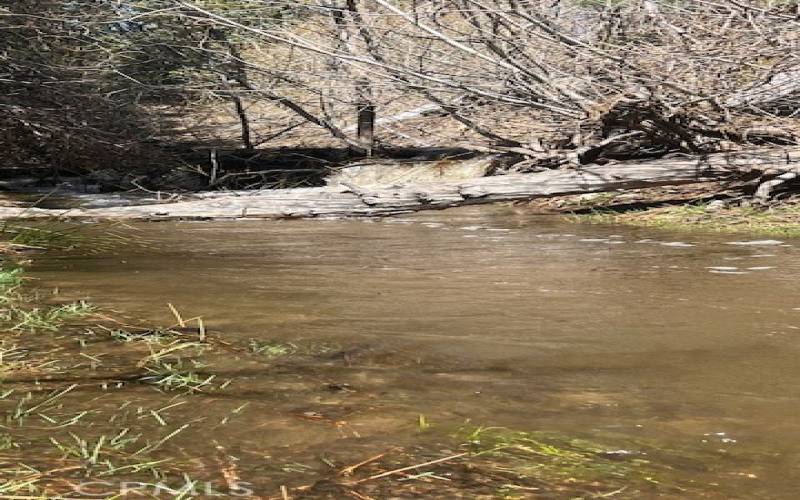 Creek in back yard