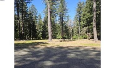 5736 Wildrose Dr, Grizzly Flats, California 95636, ,Land,Buy,5736 Wildrose Dr,41057040
