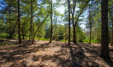 8663 Fox Drive, Cobb, California 95426, ,Land,Buy,8663 Fox Drive,LC24081090