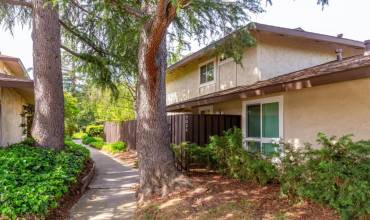 5024 Pine Tree Terrace, Campbell, California 95008, 3 Bedrooms Bedrooms, ,1 BathroomBathrooms,Residential,Buy,5024 Pine Tree Terrace,ML81961352