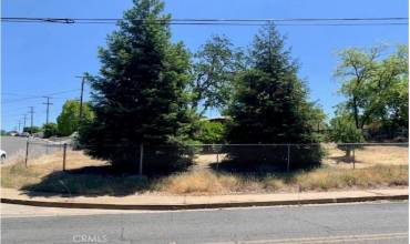 0 Brookdale Court, Oroville, California 95966, ,Land,Buy,0 Brookdale Court,SN24081681
