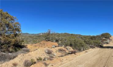 20 Comanche Trail, Anza, California 92539, ,Land,Buy,20 Comanche Trail,SW22245603