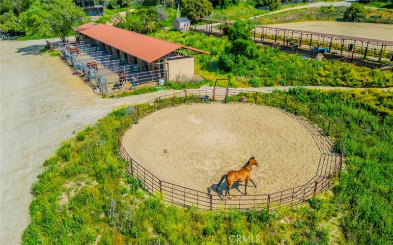 round pen and stalls