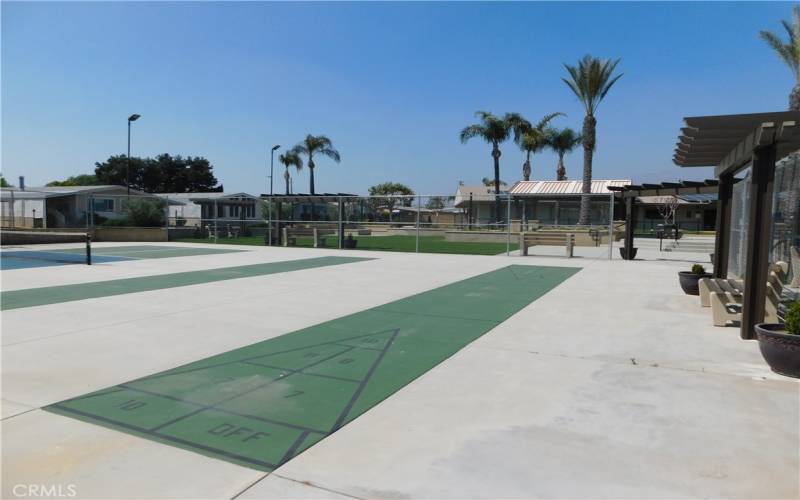 CLUBHOUSE SHUFFLEBOARD