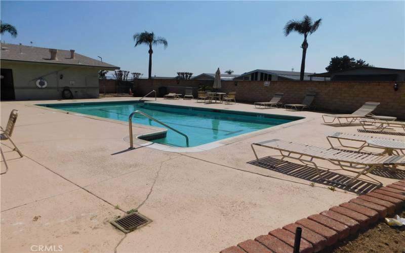 CLUBHOUSE POOL