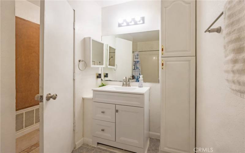 Guest bathroom