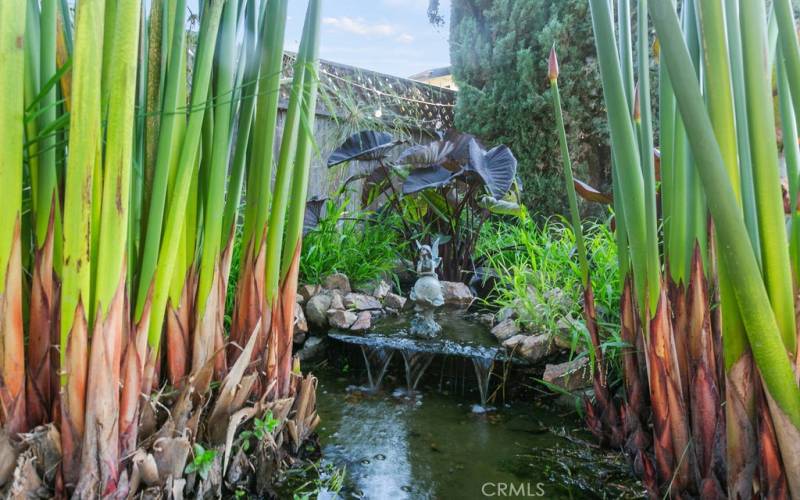 Natural filtration system keeps chemicals out of the pond and creates a beautiful oasis for birds and butterflies to enjoy