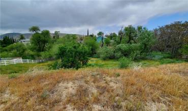 0 Rimford Drive Drive, Lake Elizabeth, California 93532, ,Land,Buy,0 Rimford Drive Drive,SR23075504