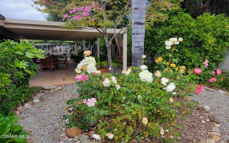 Backyard patio