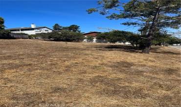 2333 Mccabe Drive, Cambria, California 93428, ,Land,Buy,2333 Mccabe Drive,SC24083618