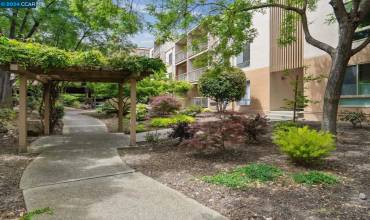 450 N Civic Dr 105, Walnut Creek, California 94596, 2 Bedrooms Bedrooms, ,2 BathroomsBathrooms,Residential,Buy,450 N Civic Dr 105,41057582