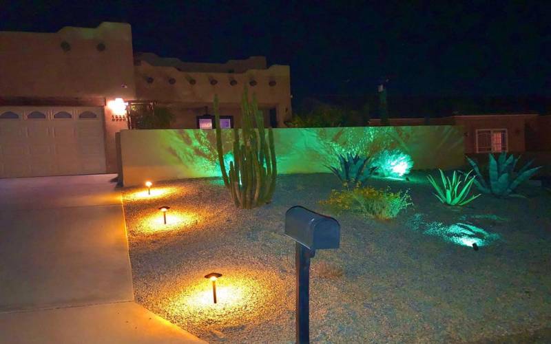 Night lighting front landscaping\