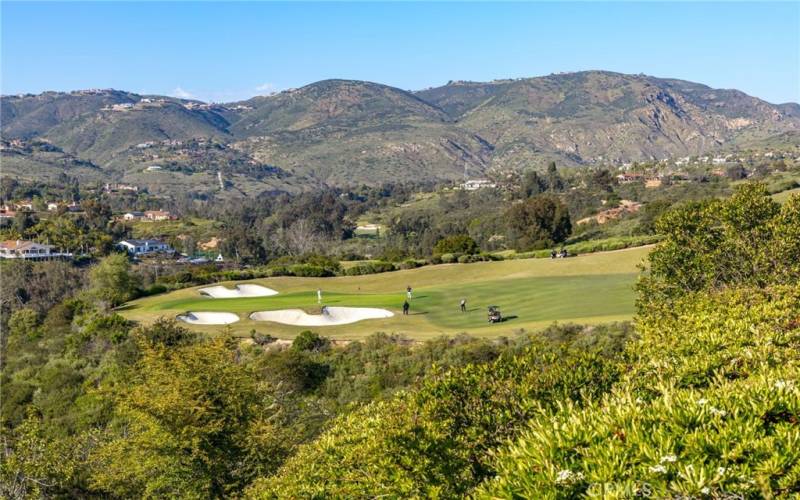 Backyard - Golf Course View