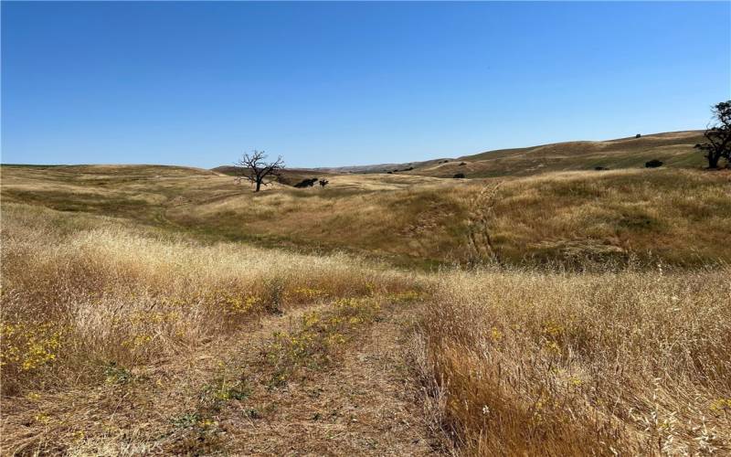 Lot is in the distance, approx. north east area in photo.