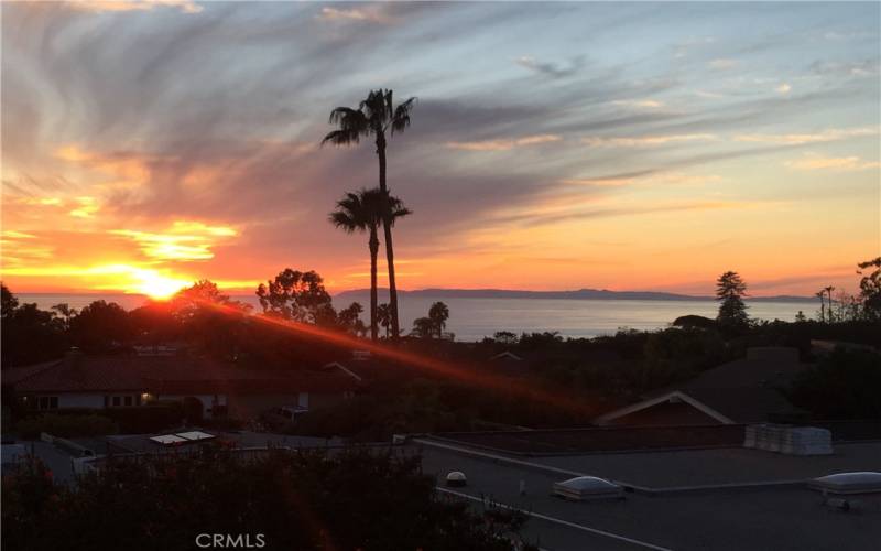Ocean, Catalina Island and Sunset Views from Your Beach close mid century modern home live in paradise year round!