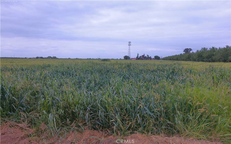 View from Baxter Rd