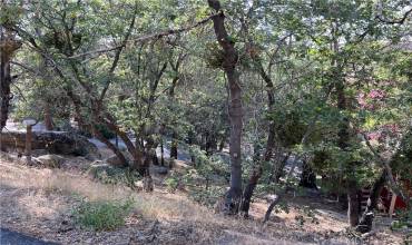 24 Conway Drive, Arrowbear, California 92382, ,Land,Buy,24 Conway Drive,EV22190416