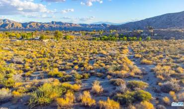 50325 Apache Trail, Morongo Valley, California 92256, ,Land,Buy,50325 Apache Trail,22217491