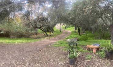 9 Lilac Rd, Valley Center, California 92082, ,Land,Buy,9 Lilac Rd,240009427SD