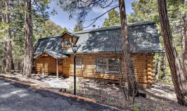 1 Welcome to log cabin living
