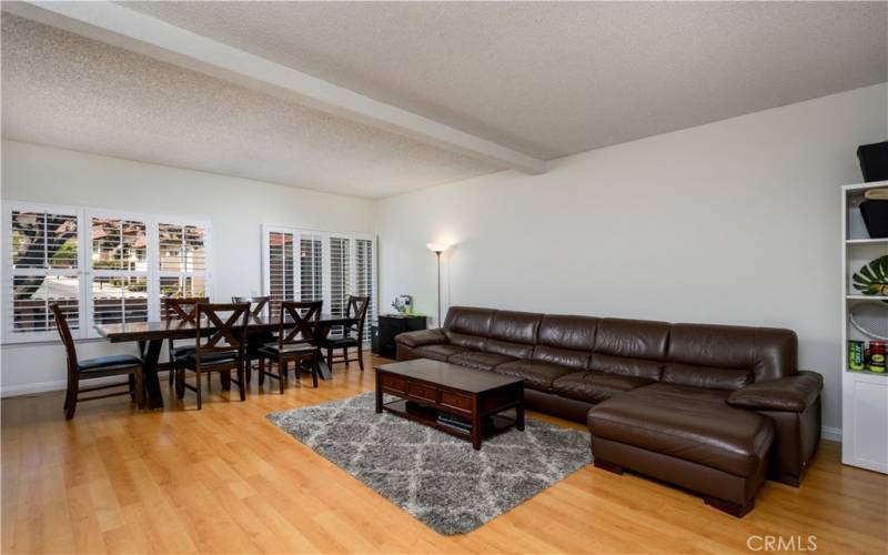 Downstairs living space includes a large open concept living room with generous kitchen and dining area