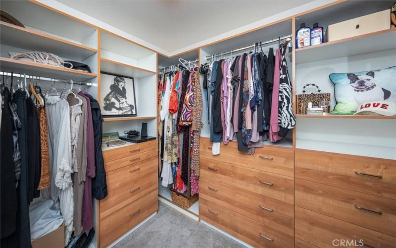 Master closet with builtins