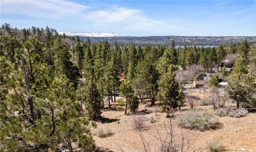 1125 Fawnskin Drive, Fawnskin, California 92333, ,Land,Buy,1125 Fawnskin Drive,EV24088760