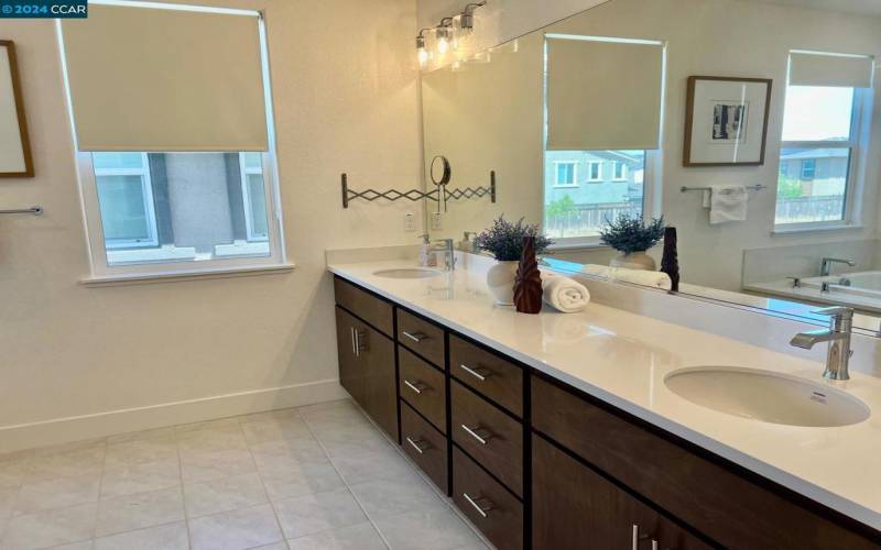 Gorgeous Master bath, dbl sink and large soaking tub and Glass shower enclosure
