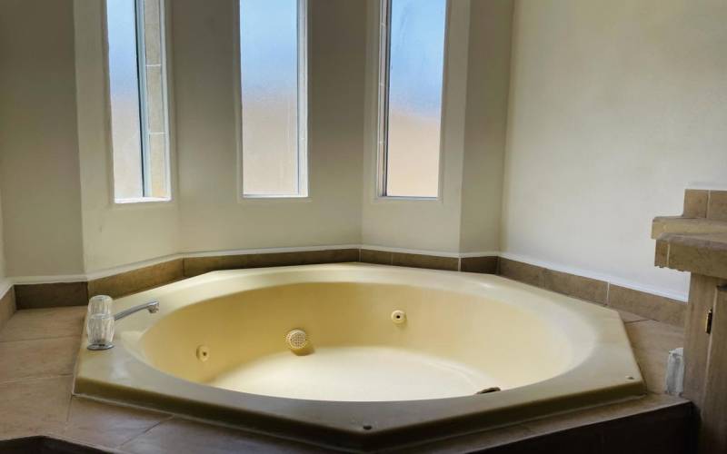 Large Jetted Tub