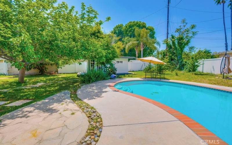 Backyard with pool and fruit trees