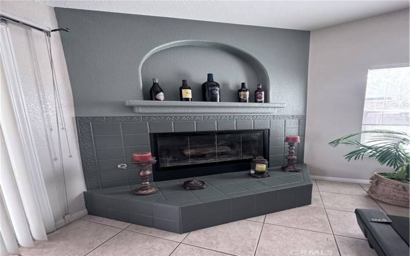 FIREPLACE/FAMILY ROOM