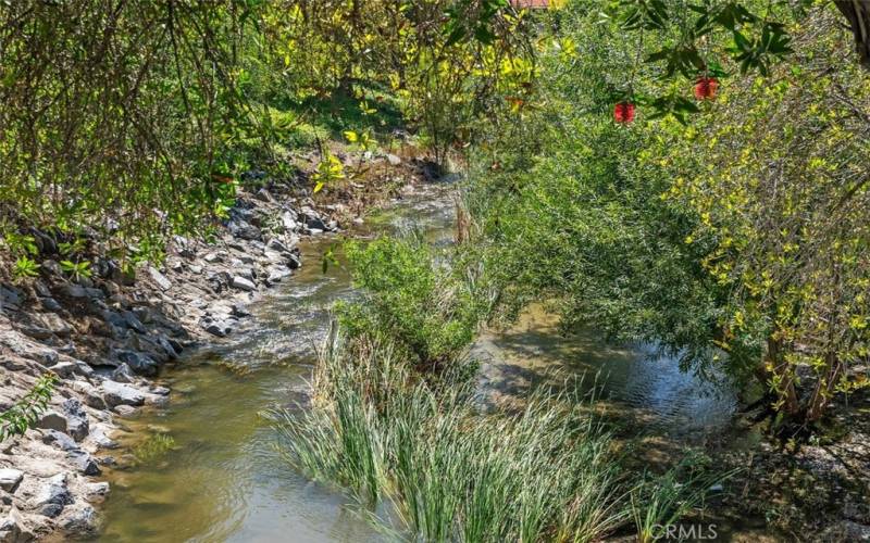 Short distance to renowned Laguna Woods Alicia Creek to enjoy nature