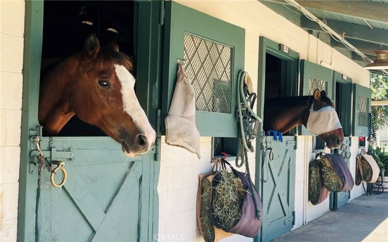 Stables where you can rent a ride or board your own horse