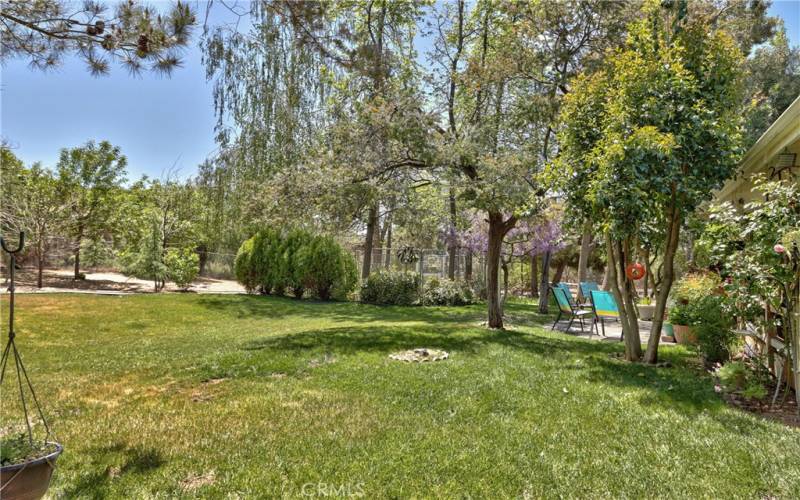 Grass area off side porch