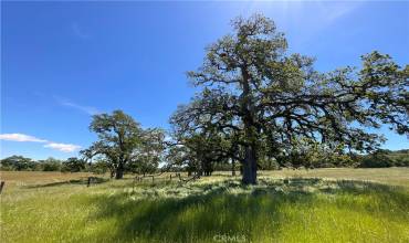 0 Interlake Road, Bradley, California 93426, ,Land,Buy,0 Interlake Road,NS24090350