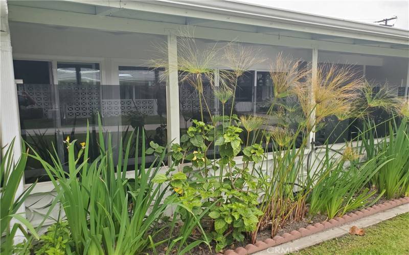 garden, glass wall and patio view