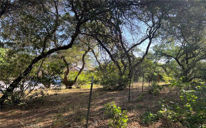 Existing fence along property lines