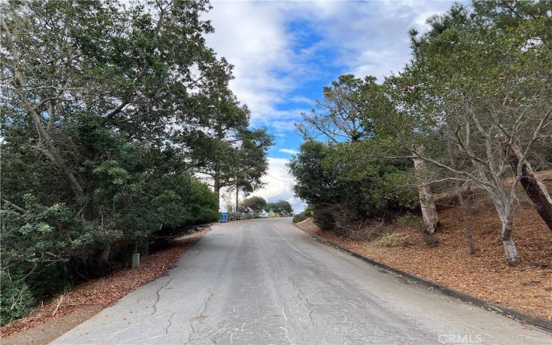 Looking East up Arliss Dr