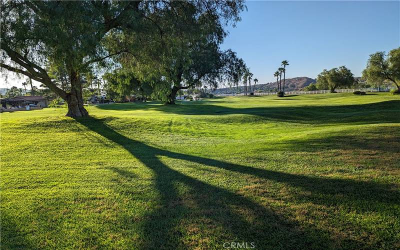 the rear view on the 12th Fairway